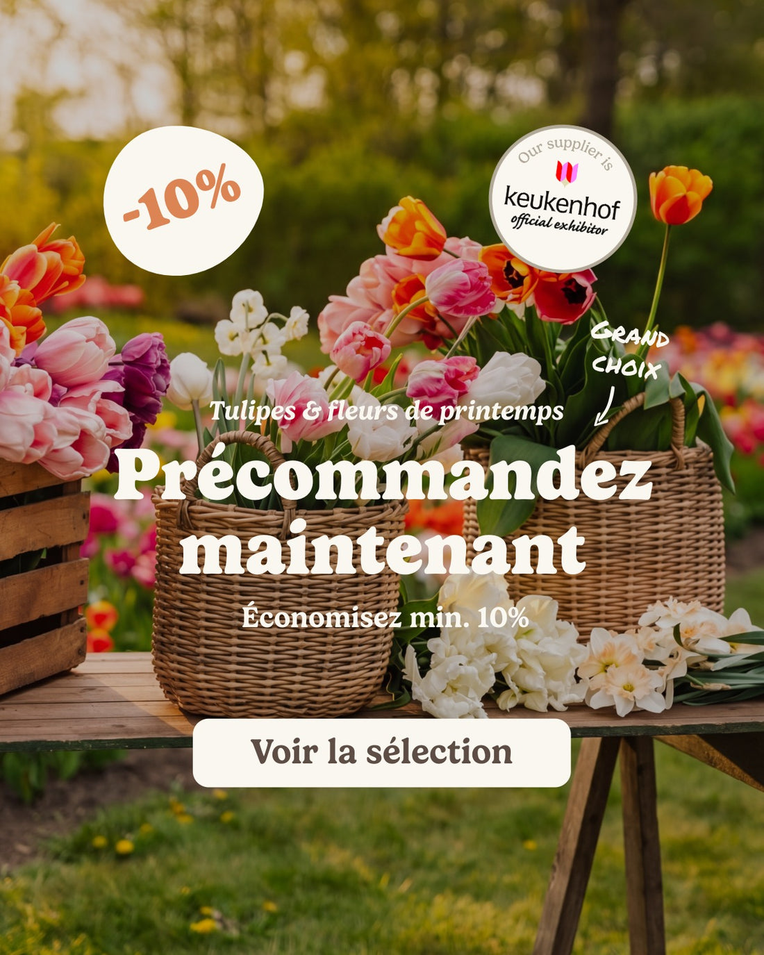 slider image slider_item_CqeVRB