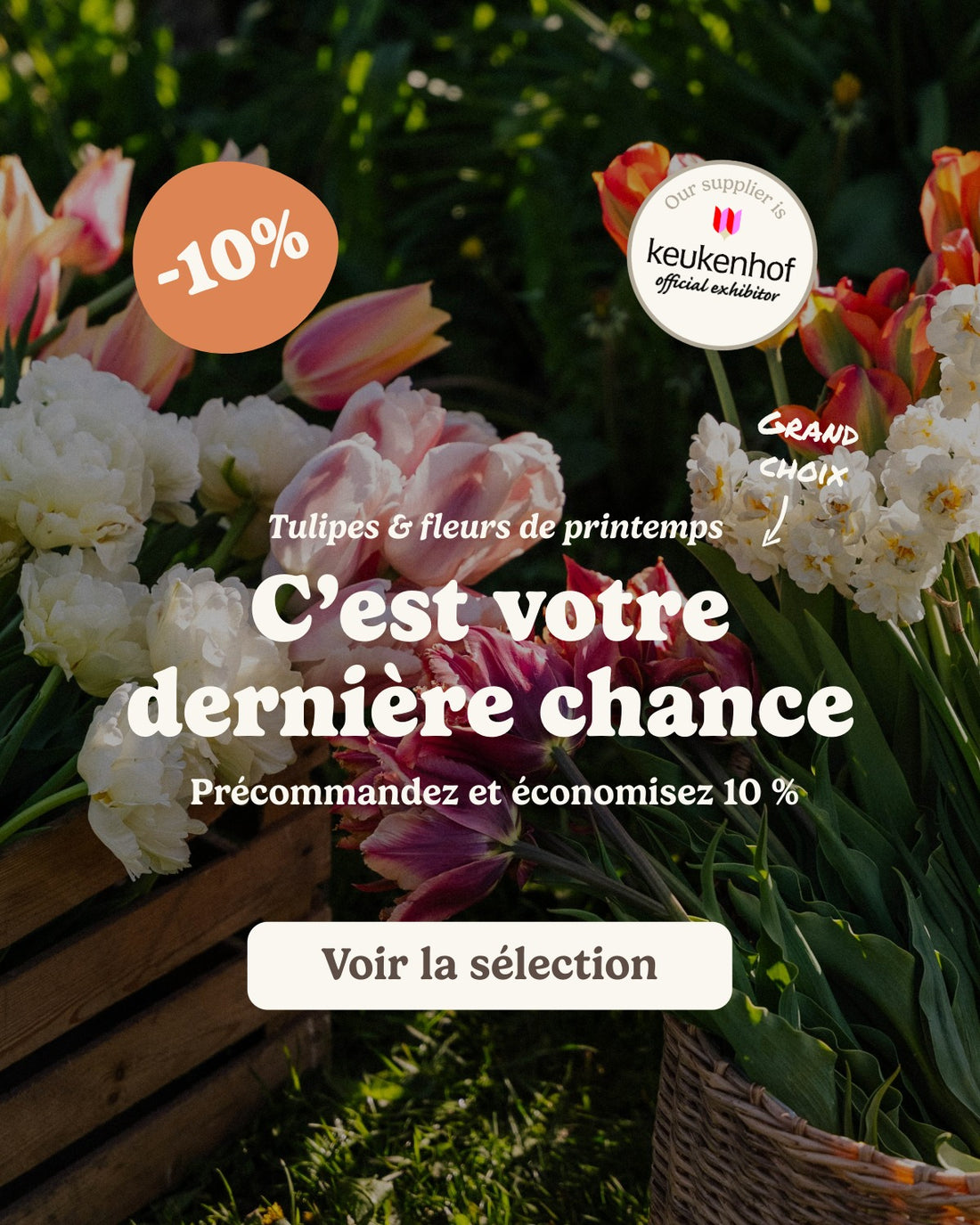 slider image slider_item_CqeVRB