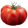 Graines de tomates beefsteak