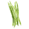 Graines de légumes