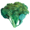 Graines de légumes