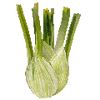 Graines de légumes