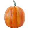 Graines de légumes