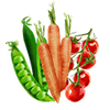 Graines de légumes