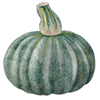 Graines de potimarron