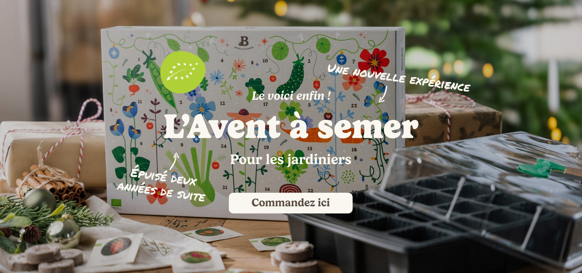 slider image slider_item_j6HeEe