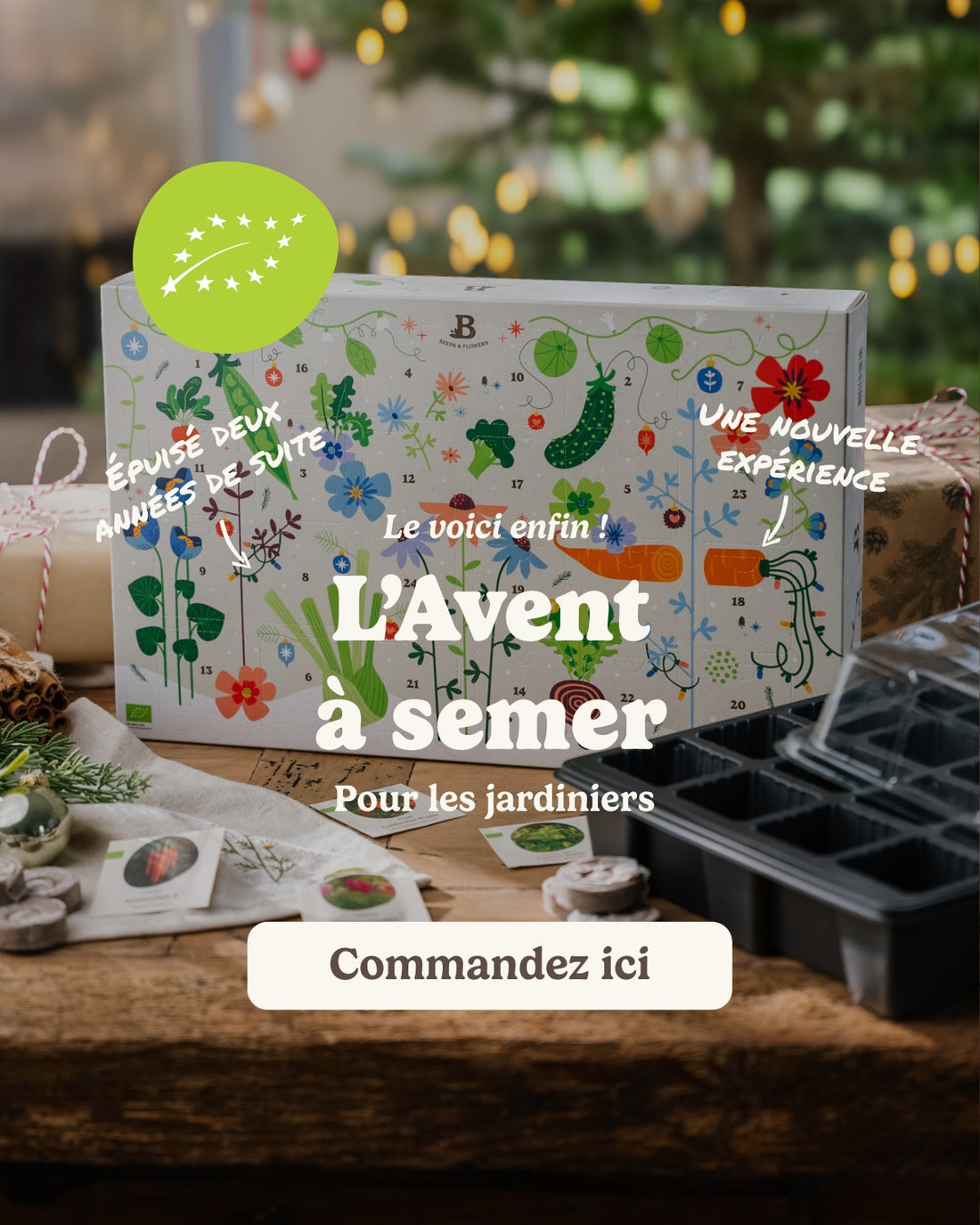 slider image slider_item_j6HeEe