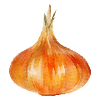 Graines de légumes