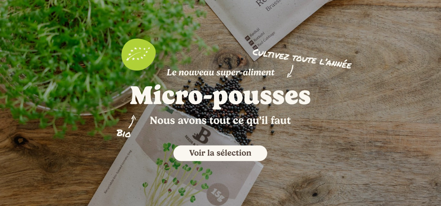 slider image slider_item_wM9tiB