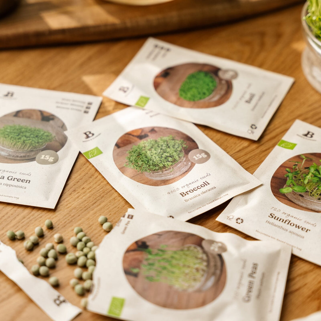 Coffret de micropousses - 5 sachets de graines biologiques