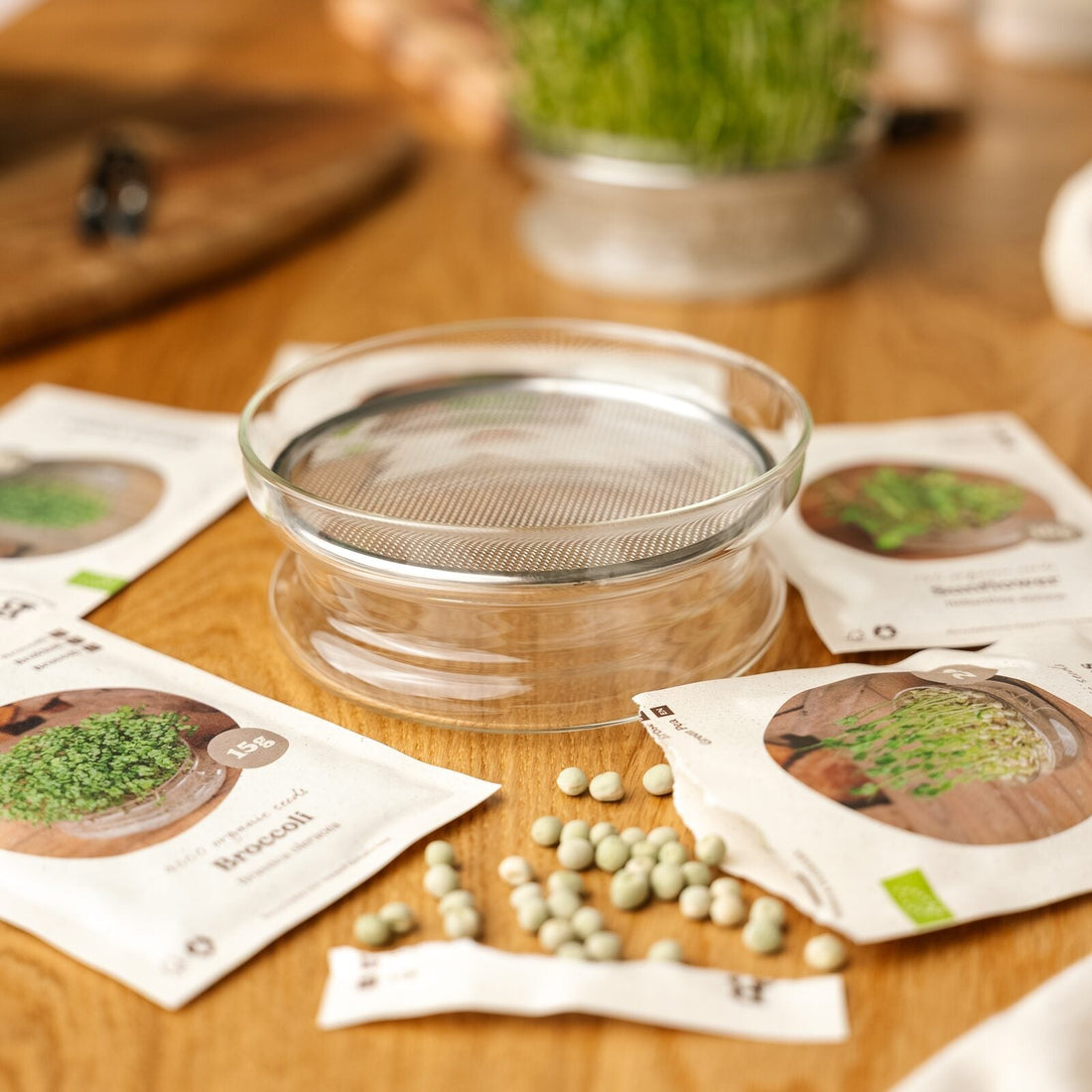 Coffret de micropousses avec coupelle de germination - 5 sachets de graines biologiques
