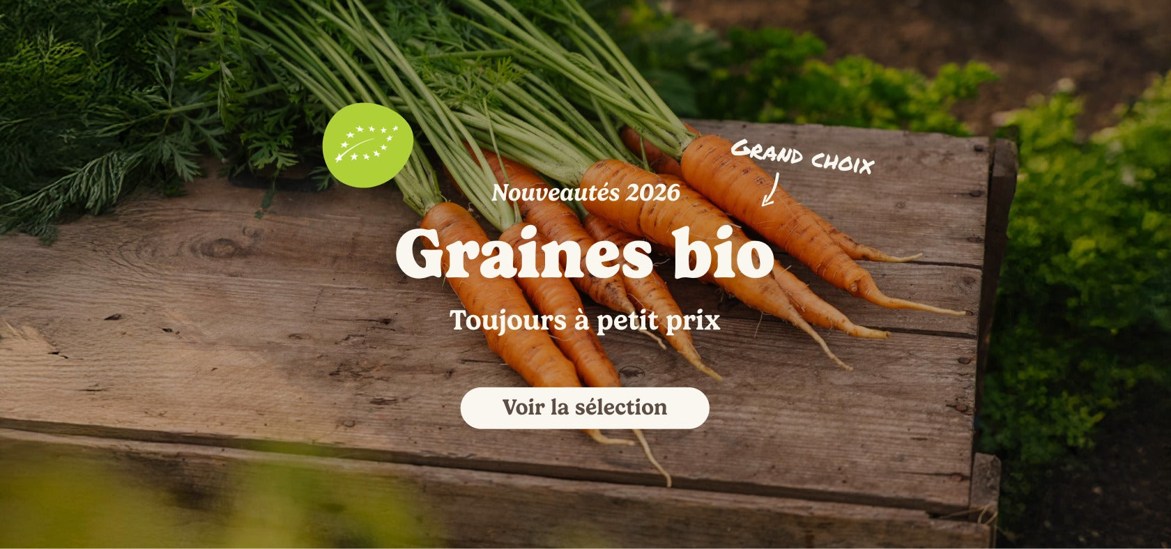 slider image slider_item_fLbXYj