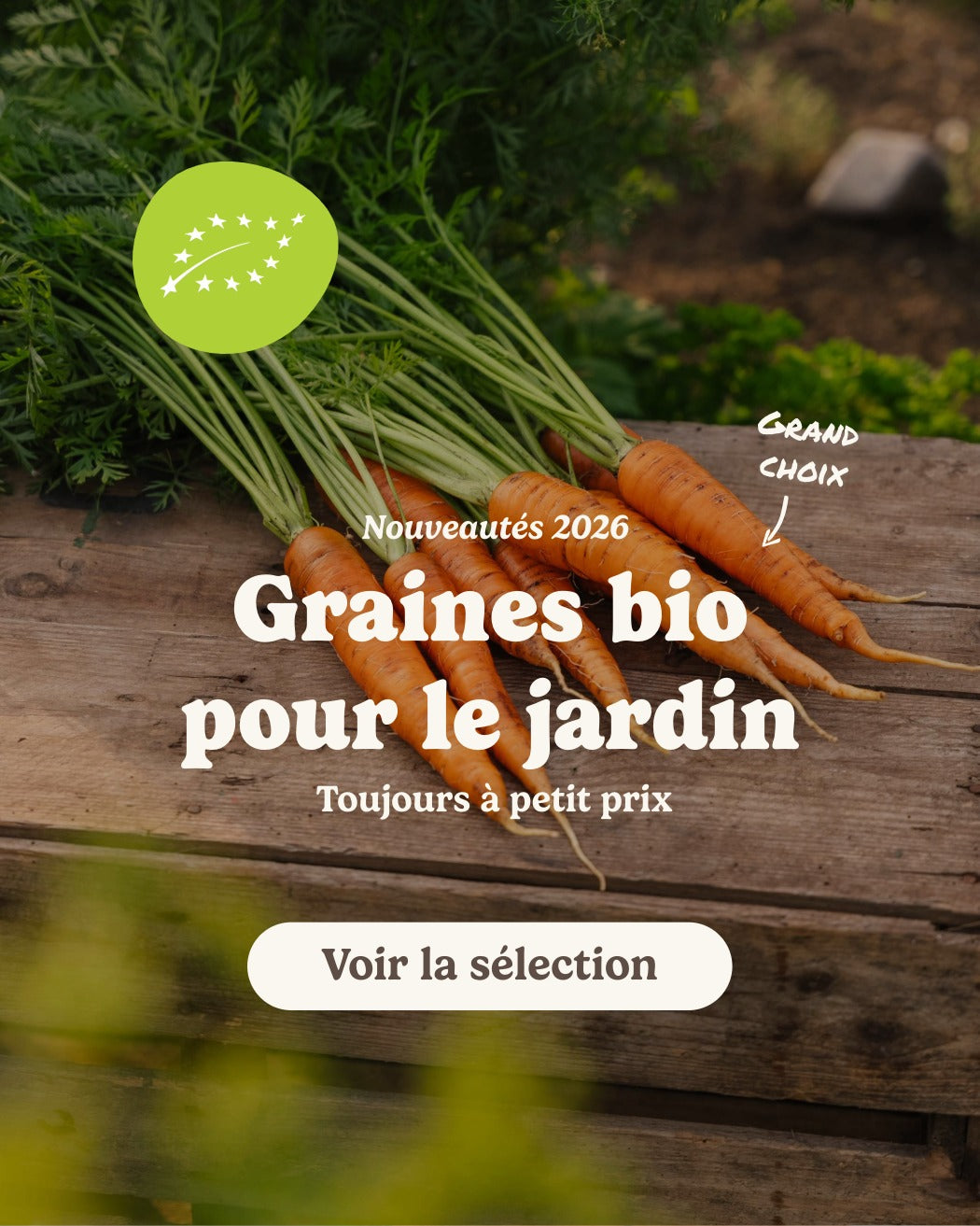 slider image slider_item_fLbXYj