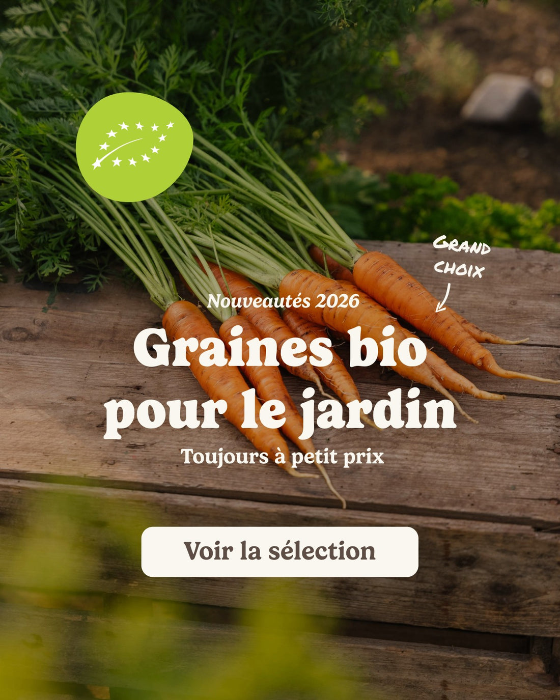 slider image slider_item_fLbXYj