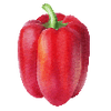 Graines de légumes
