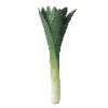 Graines de légumes