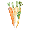 Graines de légumes