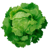 Graines de légumes