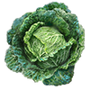 Graines de chou de savoie