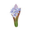 Fleurs de printemps
