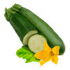 Graines de légumes