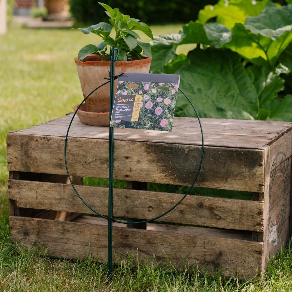 Anneau de support simple pour plantes, L : 40 cm l : 40 cm H : 61 cm
