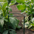 Arceau de support pour plantes, L : 20 cm H : 35 cm