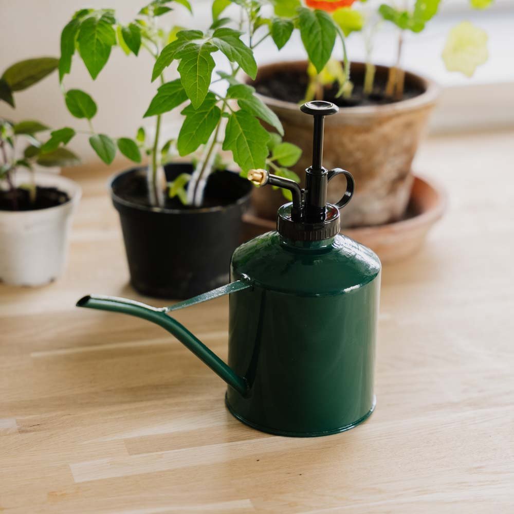 Arrosoir 2 en 1 & pulvérisateur, 0,625 L