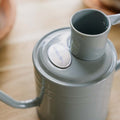 Arrosoir d'intérieur en métal, 1 L, gris chaud
