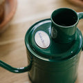 Arrosoir d'intérieur en métal, 1 L, vert forêt