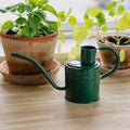 Arrosoir d'intérieur en métal, 1 L, vert forêt
