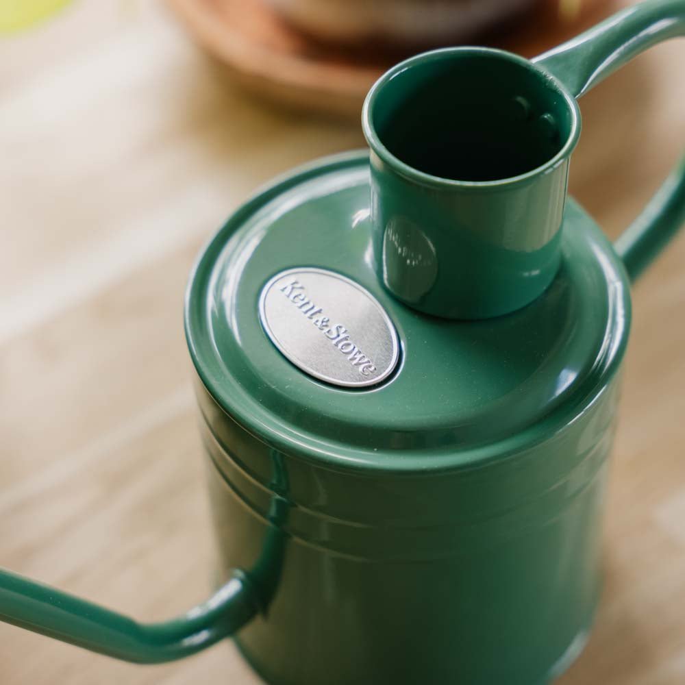 Arrosoir d'intérieur en métal, 1 L, vert sauge