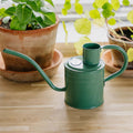 Arrosoir d'intérieur en métal, 1 L, vert sauge