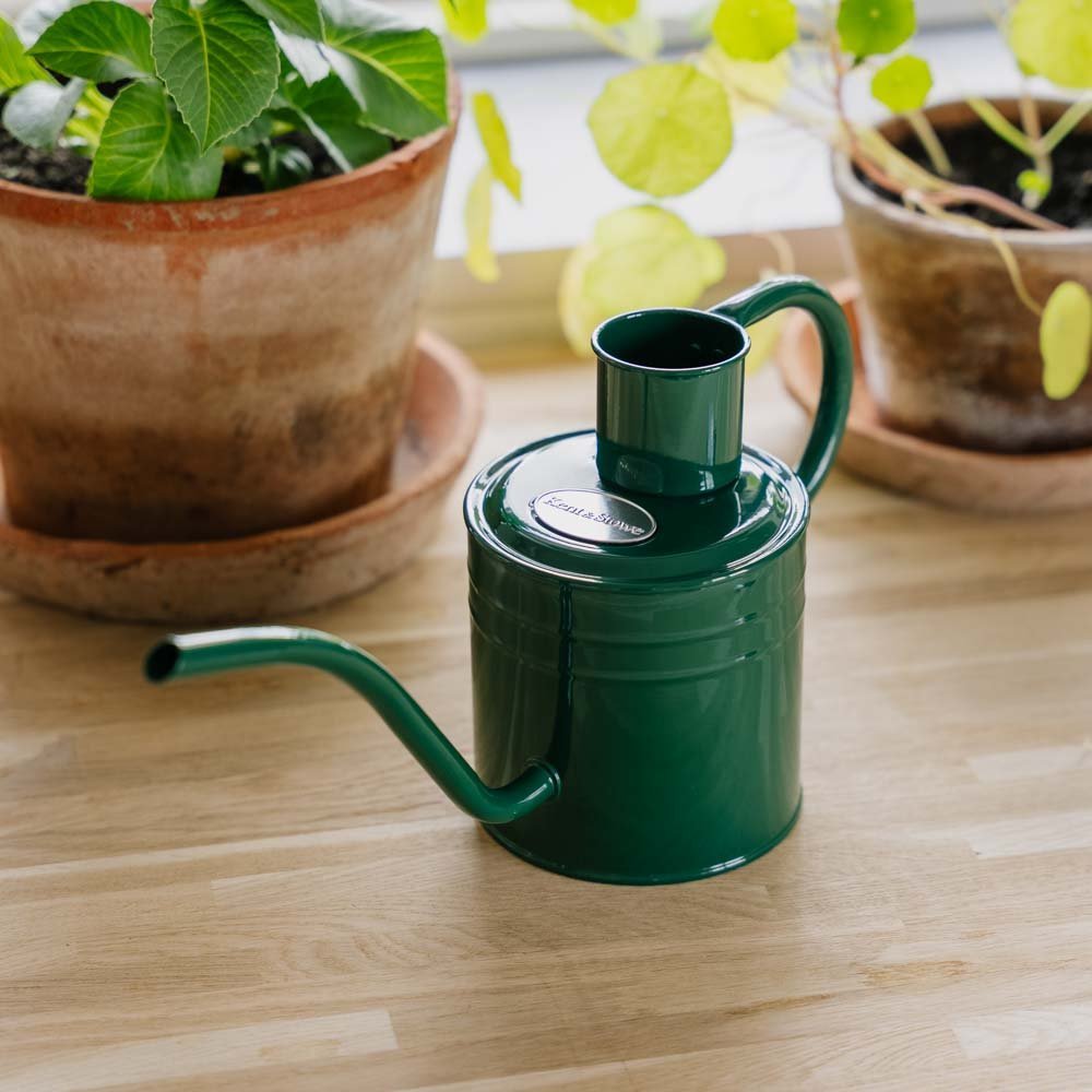 Arrosoir d'intérieur en métal, 1 L, vert sauge