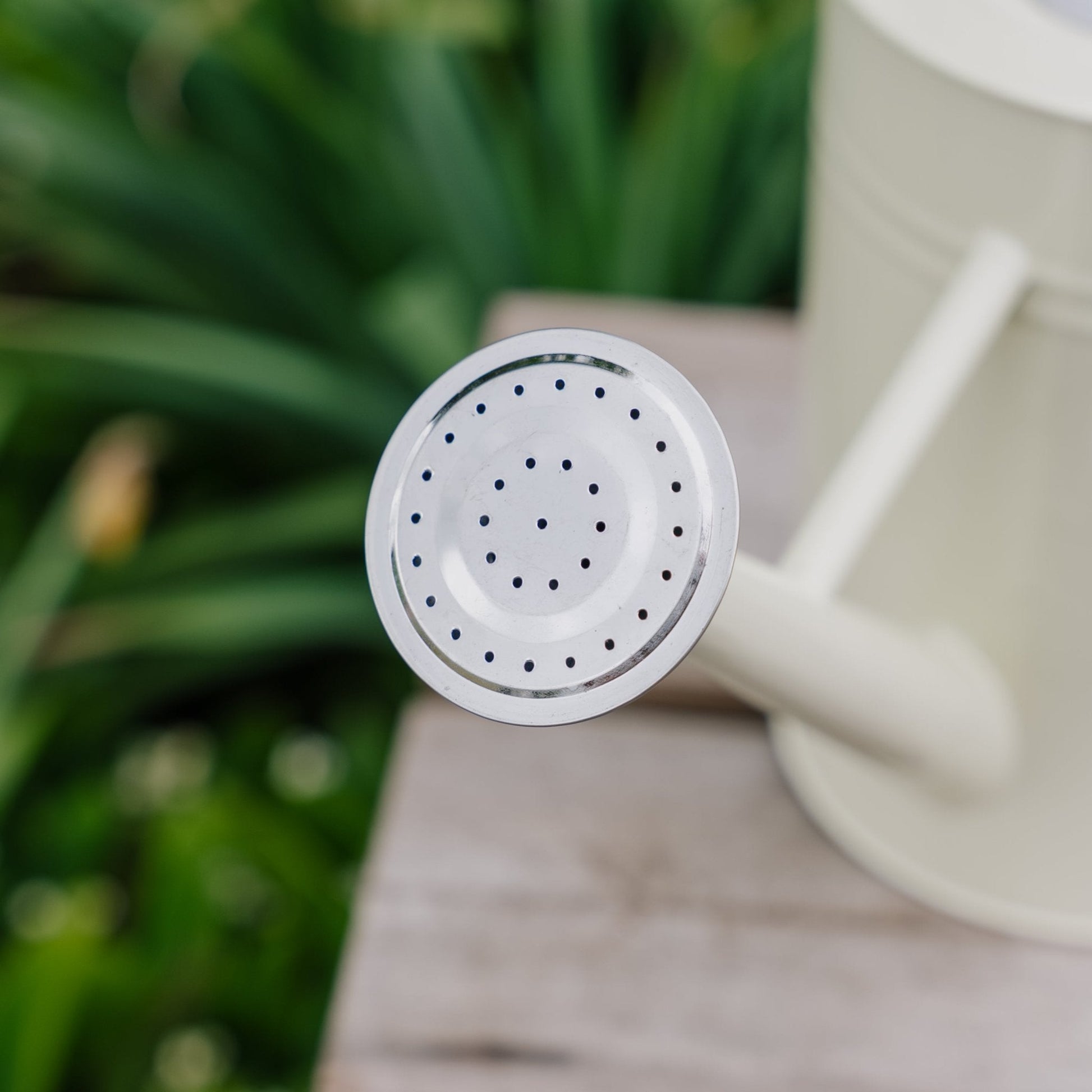 Arrosoir en métal, 4,5 L, crème vintage