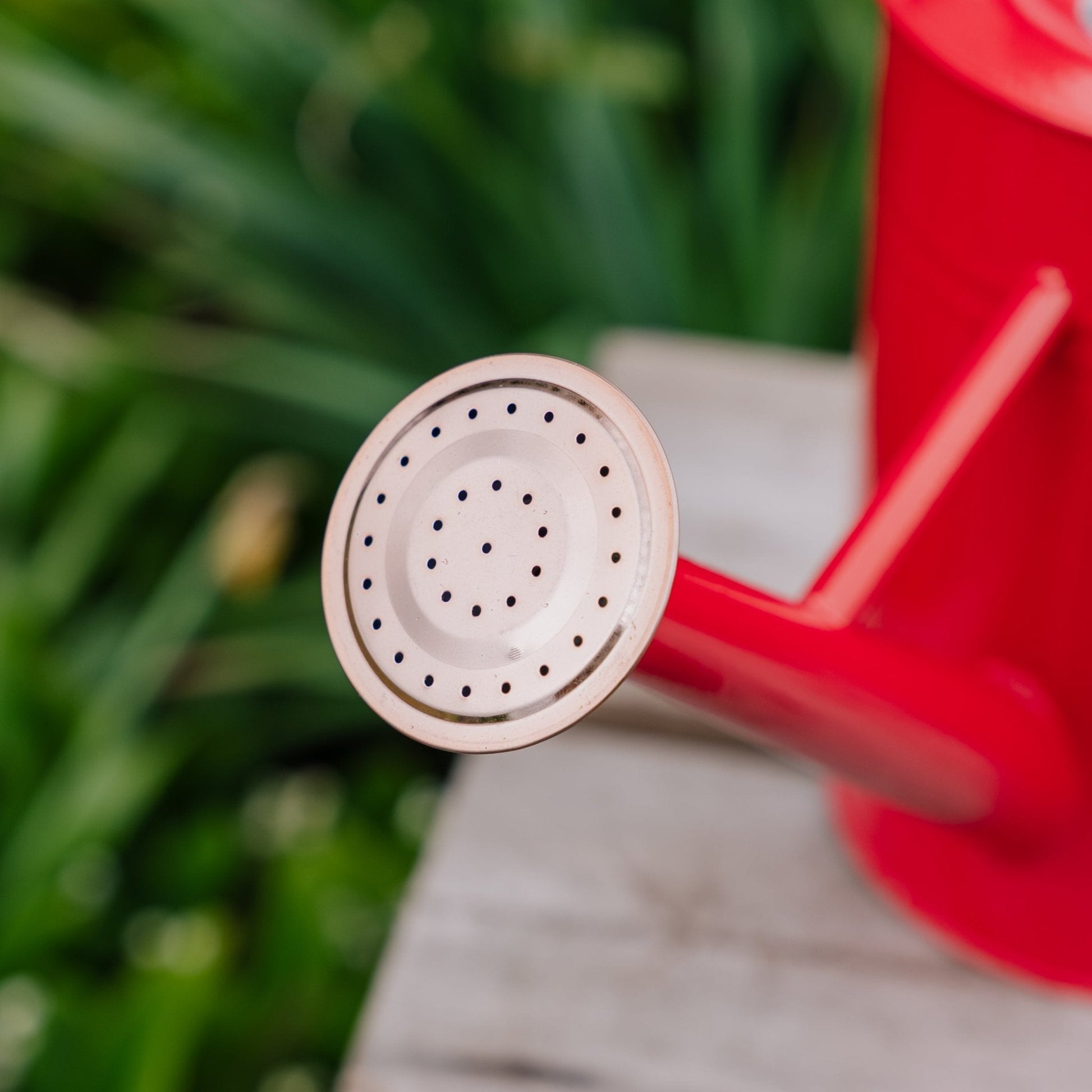 Arrosoir en métal, 4,5 L, écarlate