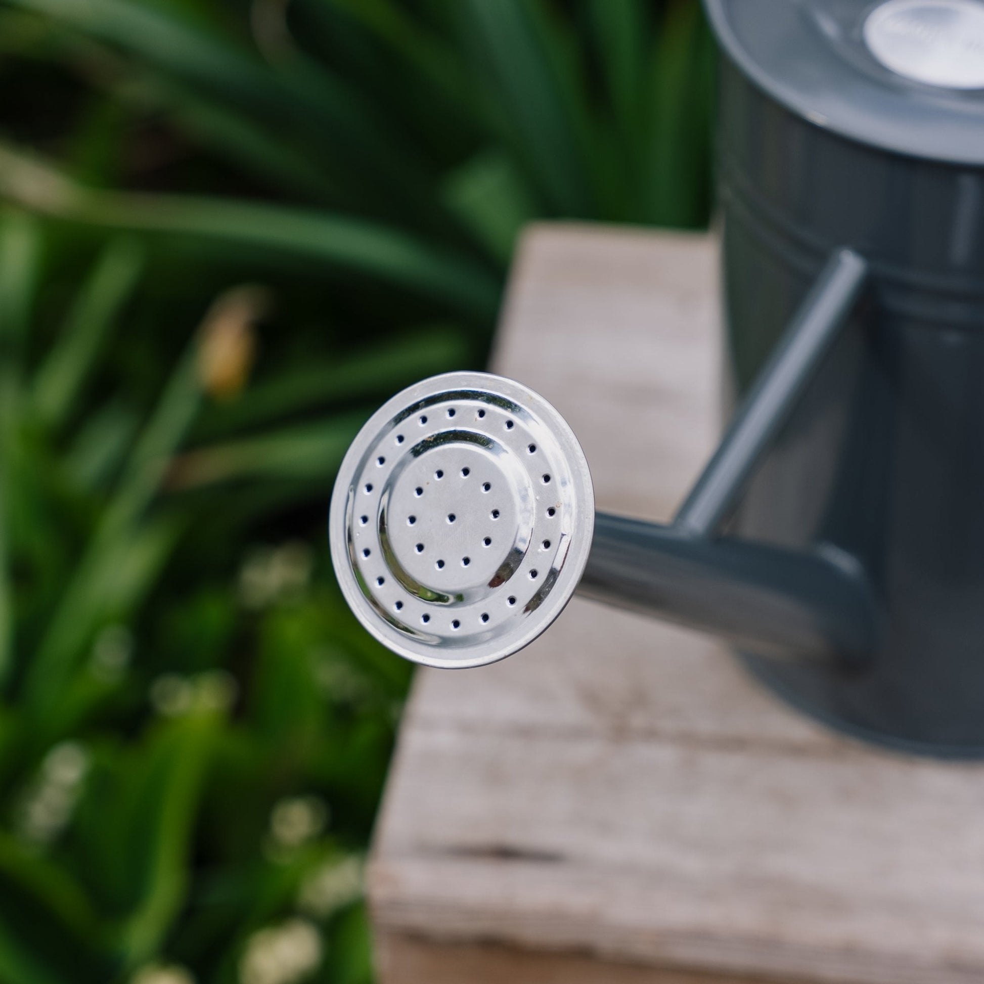 Arrosoir en métal, 4,5 L, gris froid