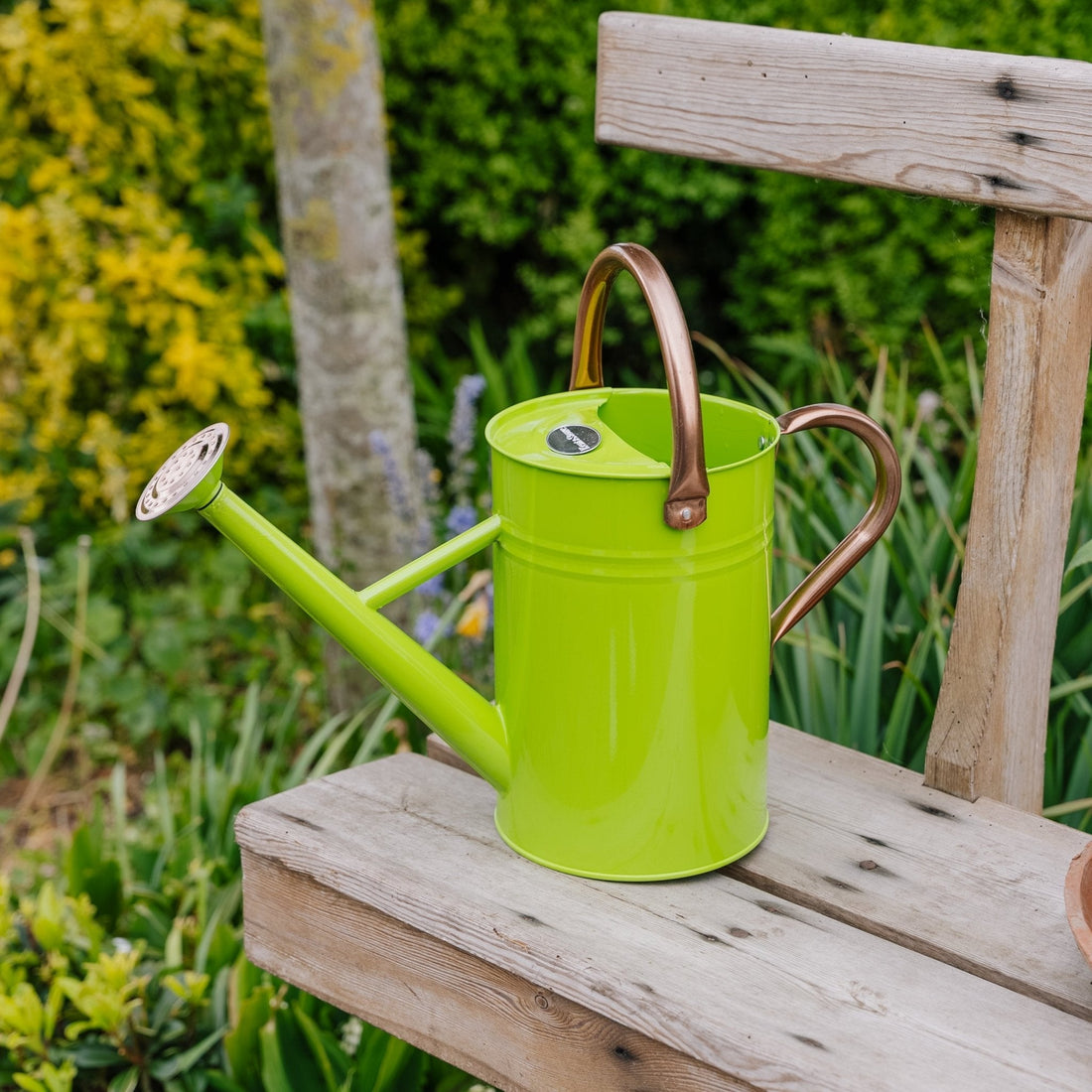 Arrosoir en métal, 4,5 L, vert frais