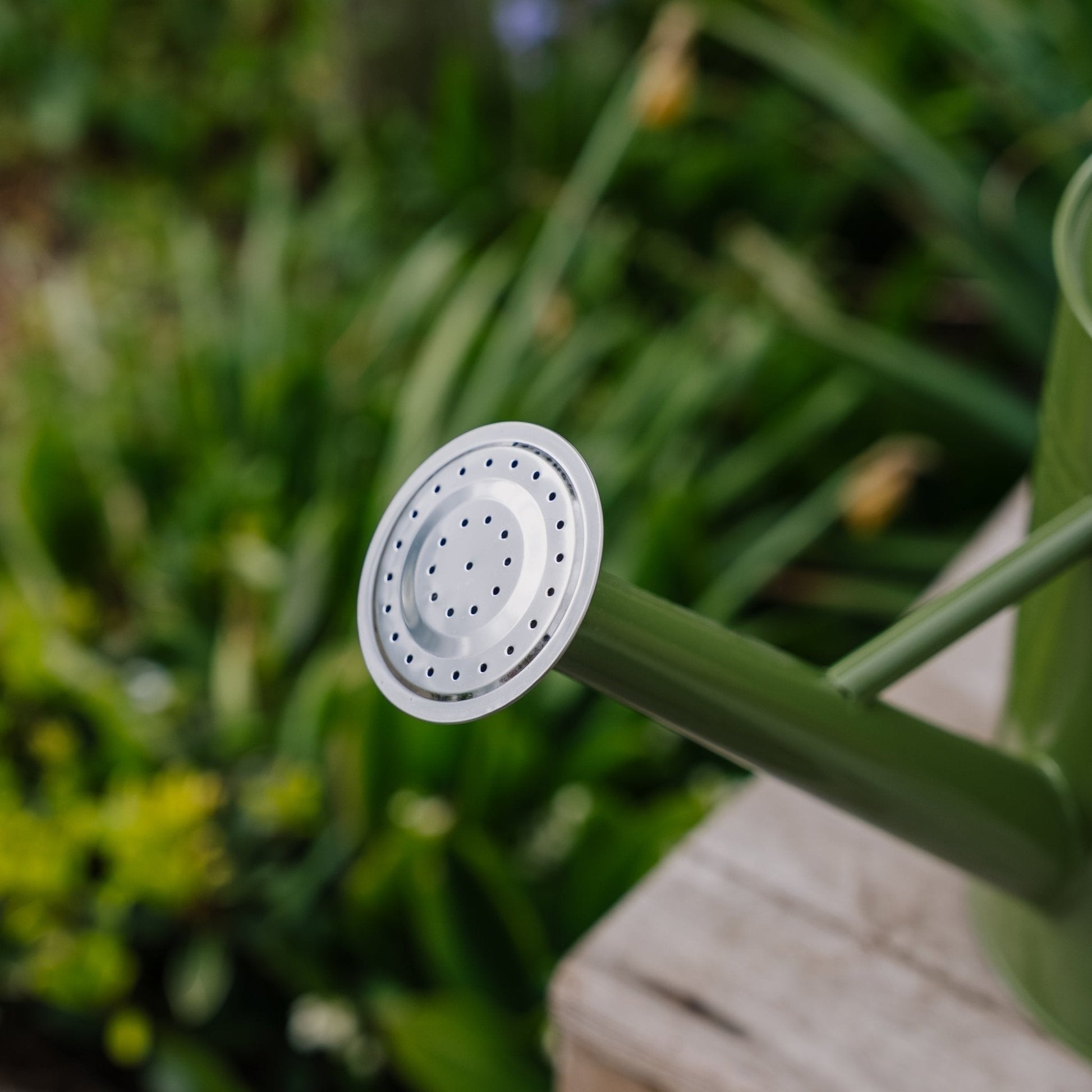 Arrosoir en métal, 4,5 L, vert tweed