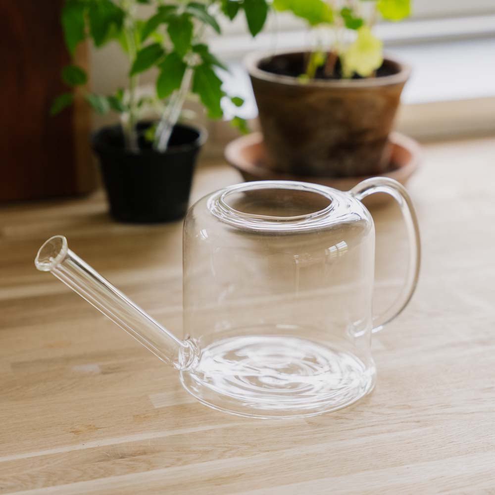 Arrosoir en verre, 0,5 L