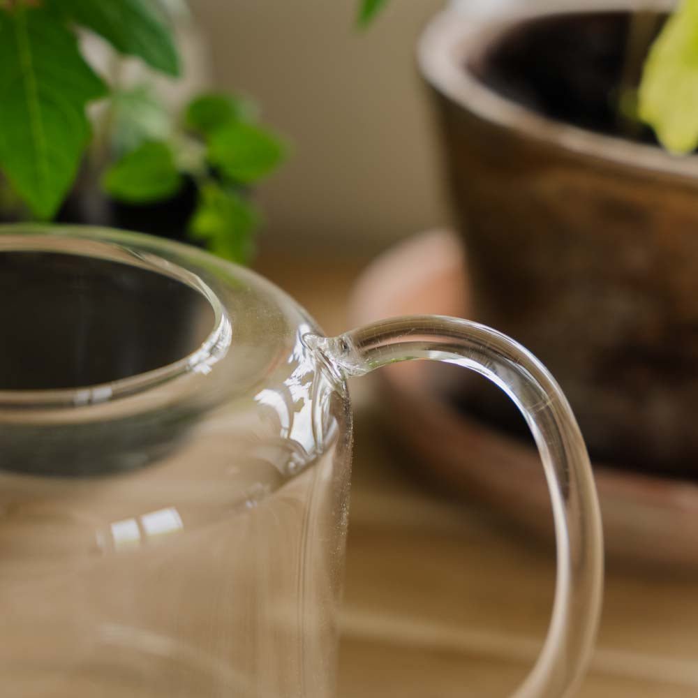 Arrosoir en verre, 0,5 L