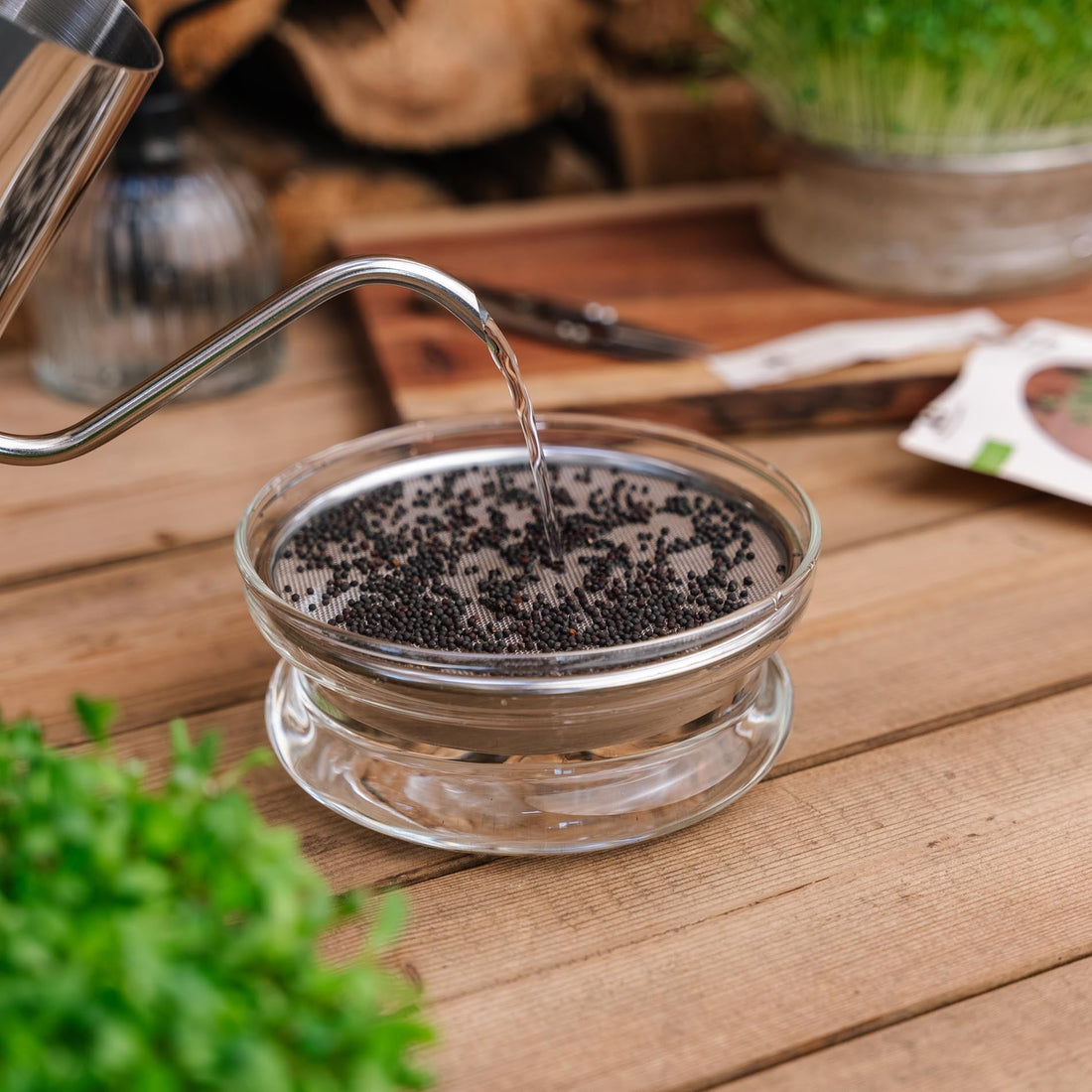 Arrosoir pour micro - pousses, 0,55 L