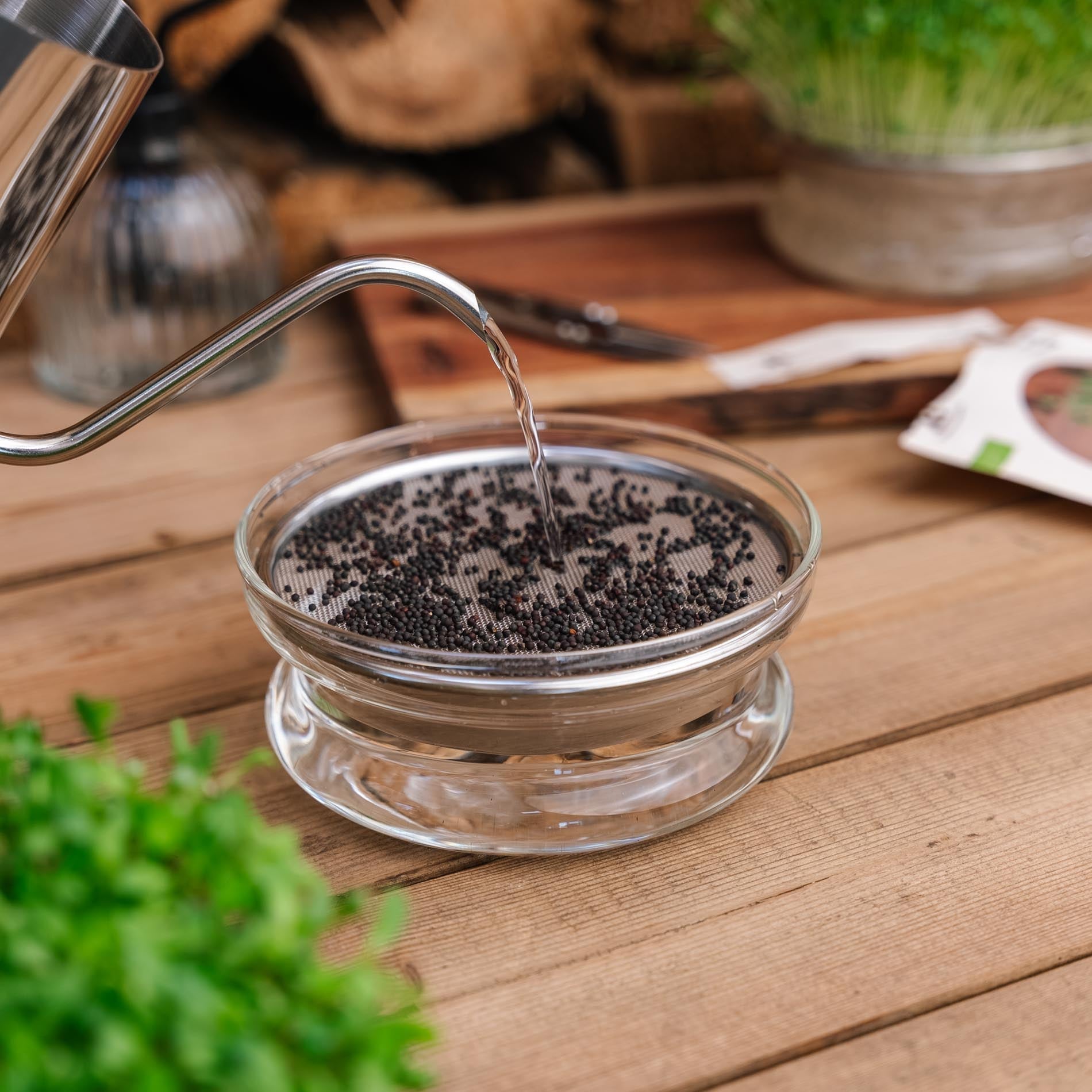 Arrosoir pour micro - pousses, 0,55 L