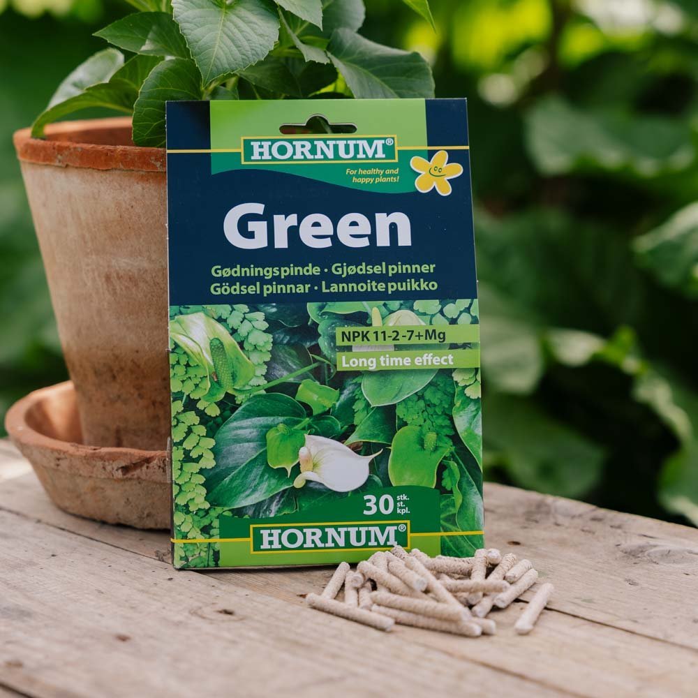 Bâtonnets d'engrais, Vert, lot de 30