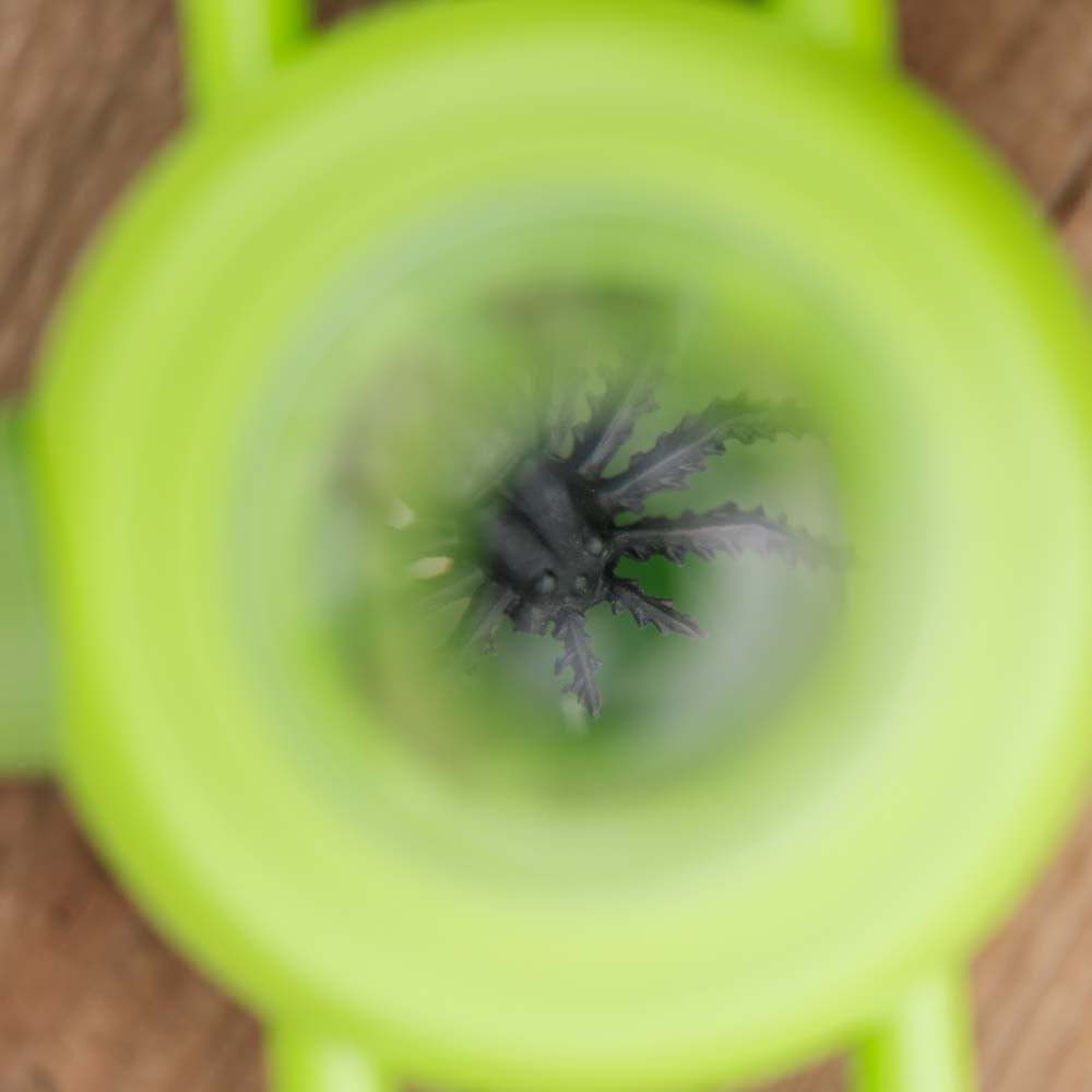 Boîte à insectes pour enfants