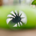 Boîte à insectes pour enfants