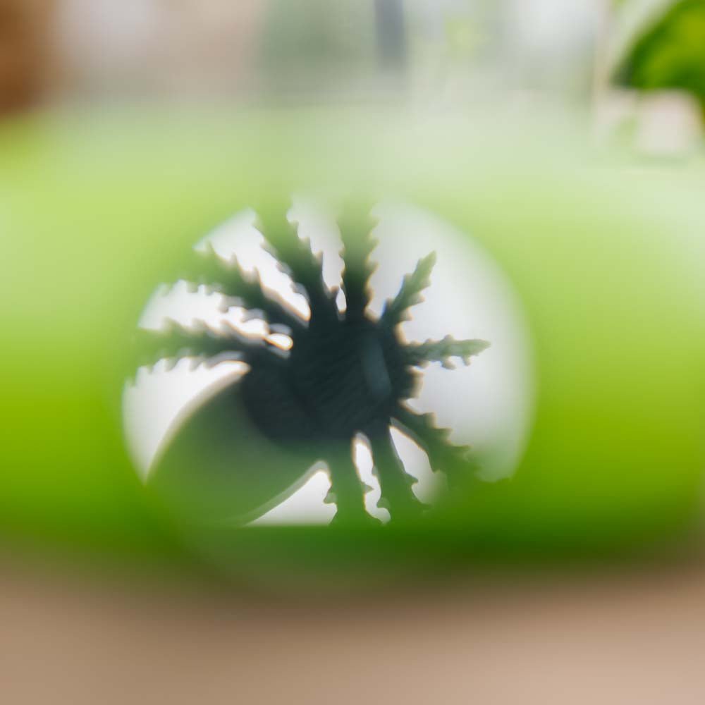 Boîte à insectes pour enfants