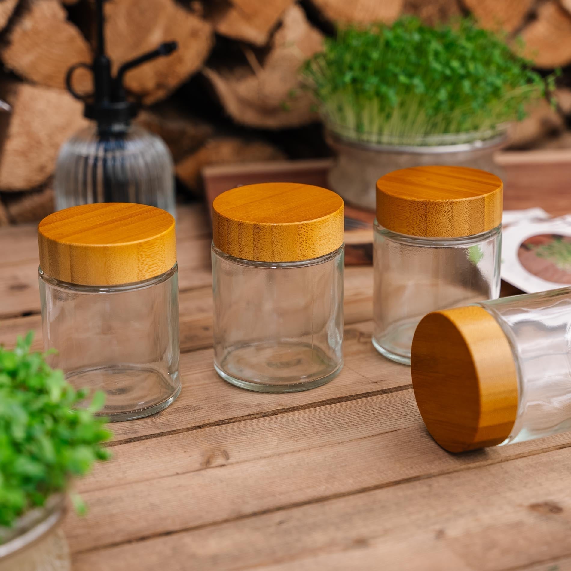 Boîtes de conservation en verre pour micropousses