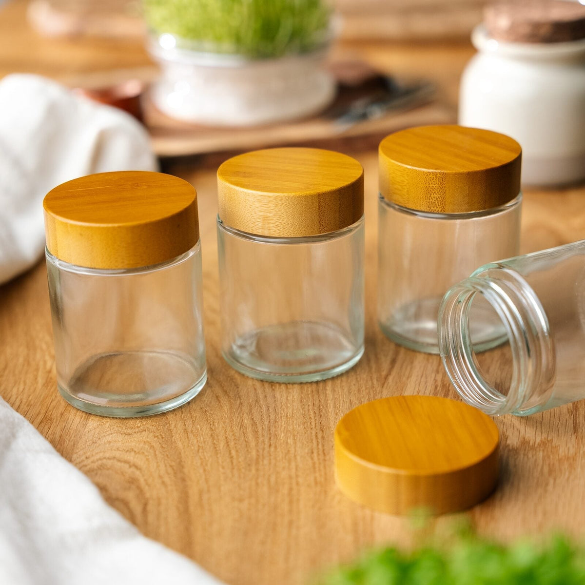Boîtes de conservation en verre pour micropousses