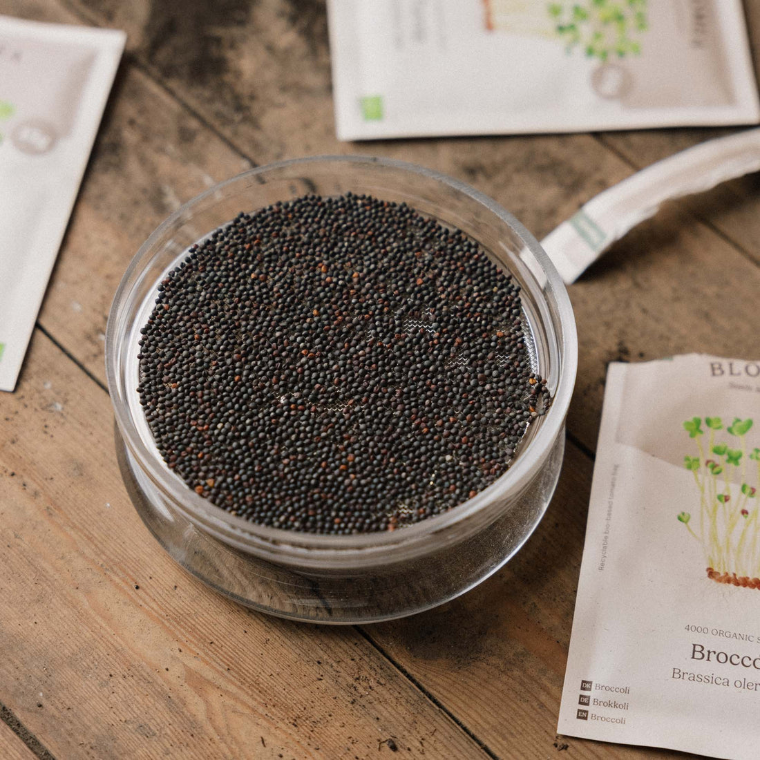 Bol germoir pour micro - pousses